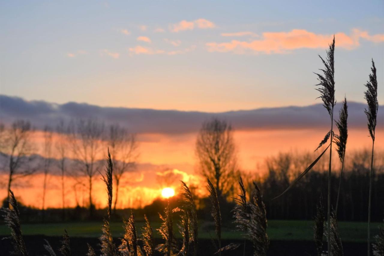 Vakantiewoning Lescaut Hamme Exteriér fotografie